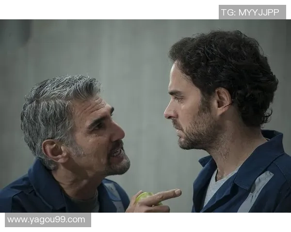 卡尔足球明星电视剧：追逐梦想的绿茵传奇与青春热血的碰撞